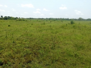 120 Acres Of Land  120 Acres of Land for Sale Iseyin Oyo Vetra  Property