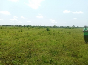 Image 1 Title