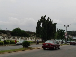 Image 1 Title