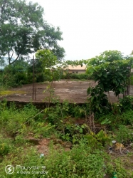 Image 1 Title