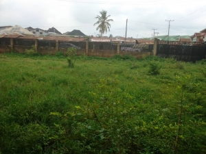 Image 1 Title