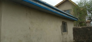 Image 1 Title
