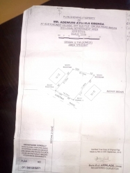 Image 1 Title