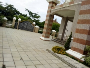 Image 1 Title
