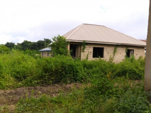 Image 1 Title