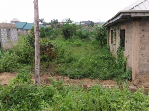 Image 1 Title