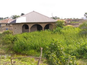 Image 1 Title
