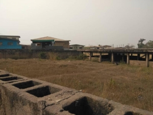 Image 1 Title