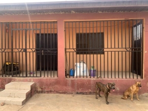 Image 1 Title
