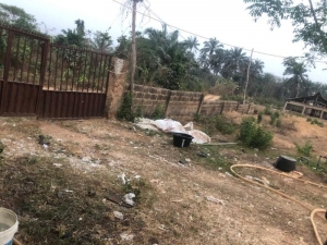 Image 1 Title