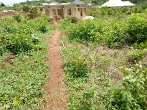 A Plot Of Land At Academy Area Mongonna Ibadan 1 Plot of Land for Sale Ibadan Oyo Vetra  Property