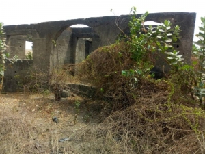 Image 1 Title