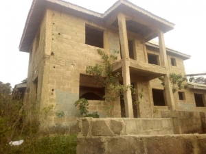 Image 1 Title