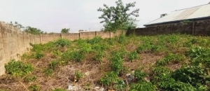 Plot Of Land At American Quarters Iletuntun Ibadan Land for Sale Ibadan Oyo Vetra  Property