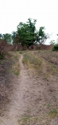 10 Acres Of Land Along Iddo Eruwa Road Ibadan 10 Acres of Land for Sale Ido Oyo Vetra  Property