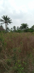 62 Acres Of Farm Land With Cofo At Oke ?ba Village Near ìw? Osun State  62 Acres of Land for Sale Iwo Osun Vetra  Property