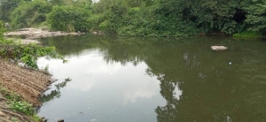 Image 1 Title