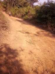 Image 1 Title