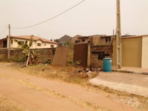 Image 1 Title