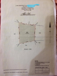 Image 1 Title