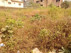 Image 1 Title