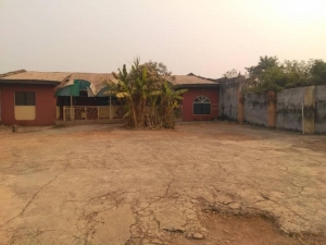 Image 1 Title