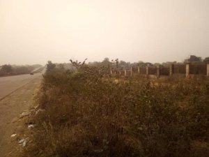 Image 1 Title