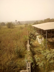 Image 1 Title
