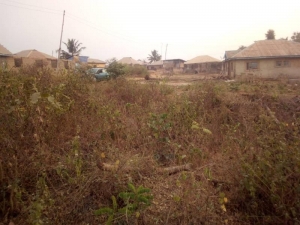 Image 1 Title