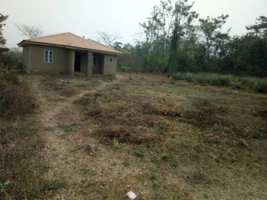 Image 1 Title