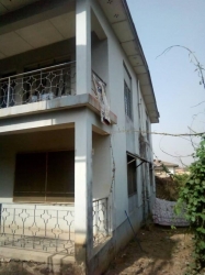 Image 1 Title