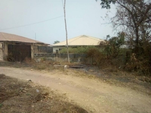Image 1 Title