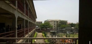 Image 1 Title