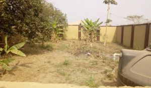 Image 1 Title