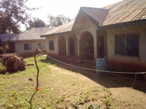 Image 1 Title