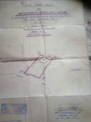 Image 1 Title