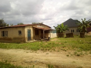 Image 1 Title