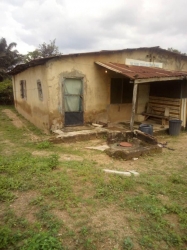Image 1 Title