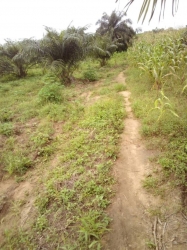 Image 1 Title