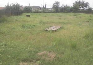 Image 1 Title