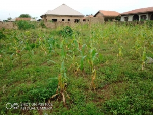 2 Plots Of Land Fenced & Gated At Fola Tyre Area Oyo.  2 Plots of Land for Sale Afijio Oyo Vetra  Property