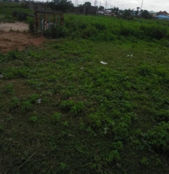 Image 1 Title