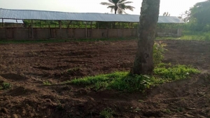 2 Acres Of Land With Piggery Pen And Poultry Pen At Akinmorin Area Oyo Town 2 Acres of Land for Sale Afijio Oyo Vetra  Property