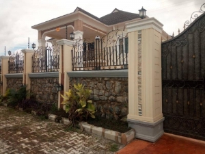 Image 1 Title