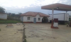 Image 1 Title