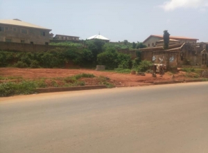 A Land Measure 807.972sqm Along Ologuneru Road Ibadan 808 Meter Square of Land for Sale Ido Oyo Vetra  Property