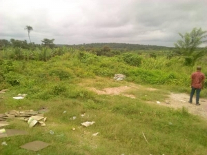 Image 1 Title