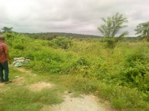Image 1 Title