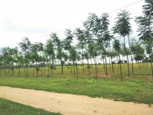 27,000 Acres Of Land With C.of.o At Iseyin Area Of Oyo State 27,000 Acres of Land for Sale Iseyin Oyo Vetra  Property