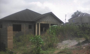 Image 1 Title